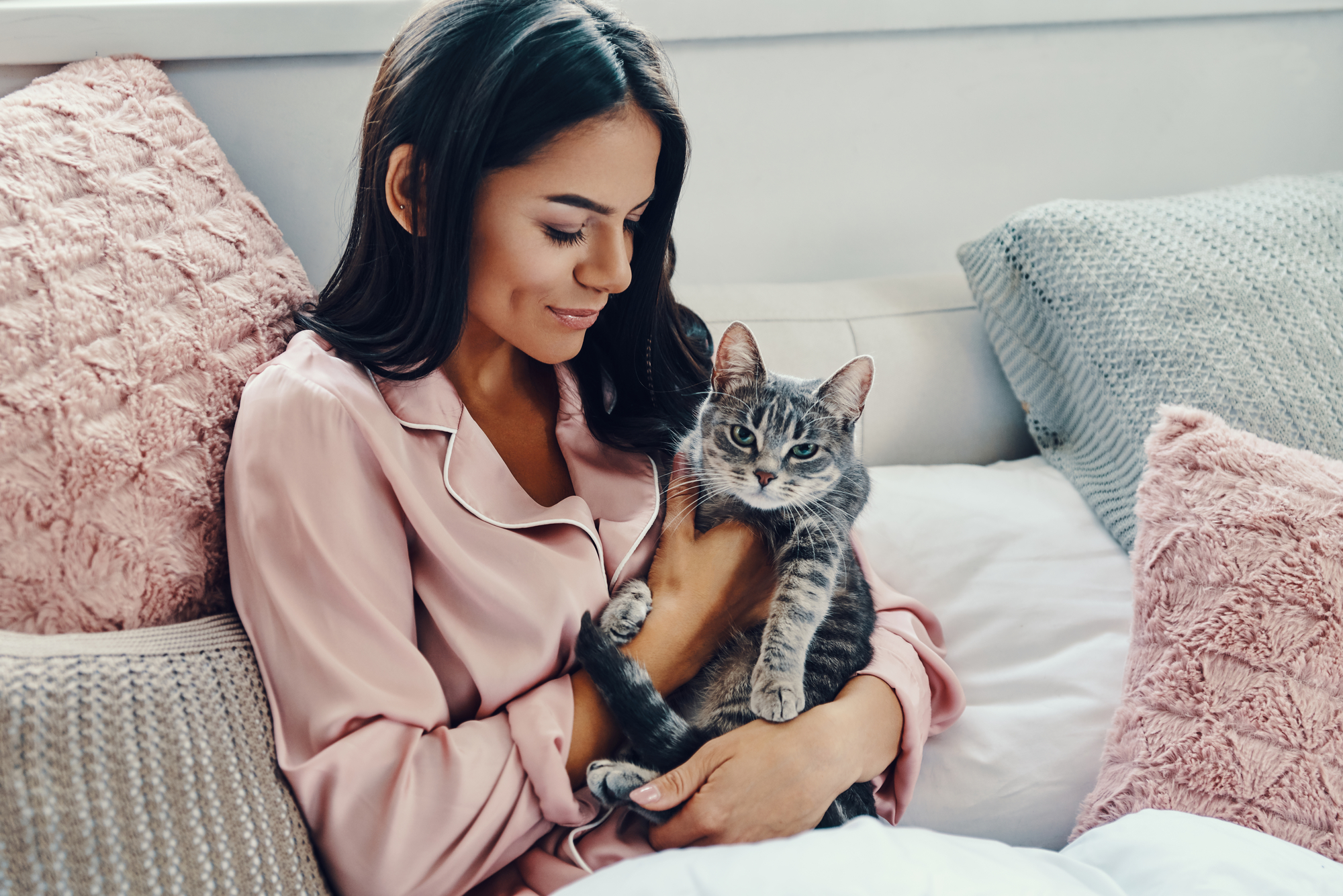 Kat i sofa